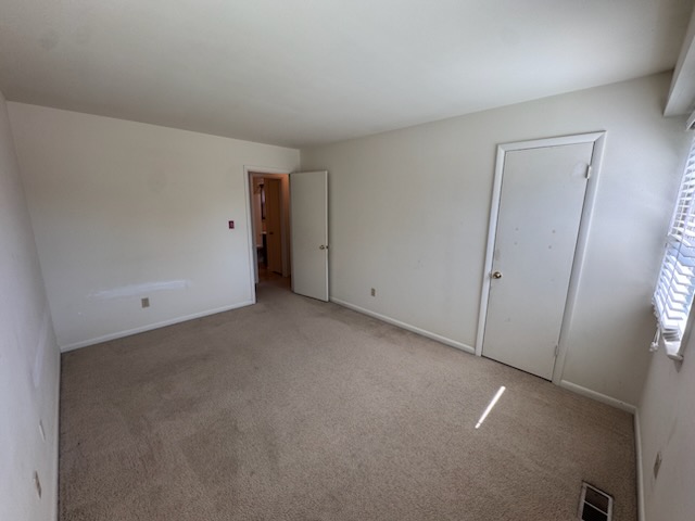 Gallery Photo 11